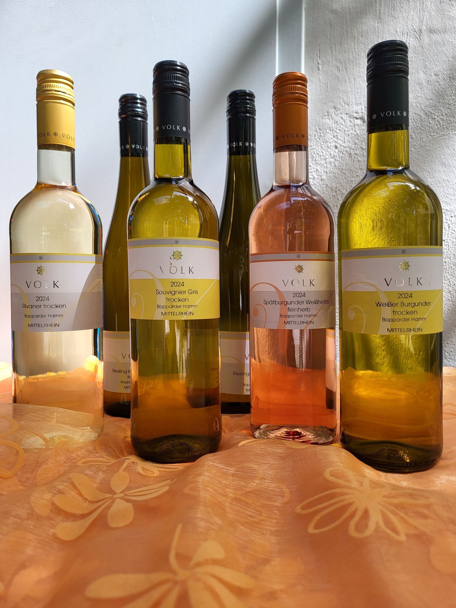 Wine talk im Mai "Jahrgang 24" die neuen Weine entdecken